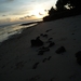 7d Zanzibar, Fumba beach, strandwandeling _P1210792