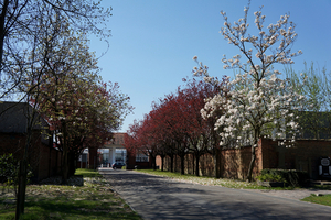 Roeselare-Oud Kerkhof-Blekerijstraat