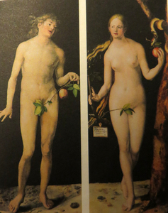 Adam en Eva-Albrecht Drer
