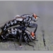 Vlieg onbekend - Diptera indet. IMG-0762