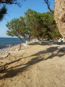 Het strand van Tavronitis