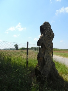 36-Monument Balegemse steen
