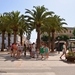 354 Menorca Ciutadella  Plaça des Palmeres