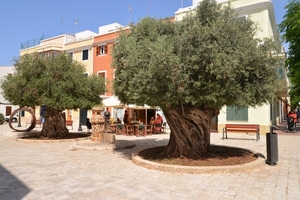 358 Menorca Ciutadella  Plaça Frederic Parejo