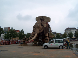 olifant (3)