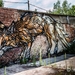 Graffiti boom-5012