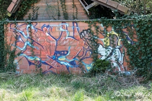 graffiti doel 2015-6209
