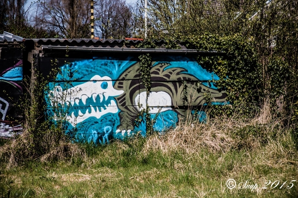 graffiti doel 2015-6211