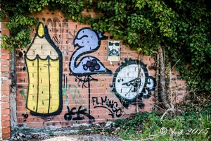 graffiti doel 2015-6221