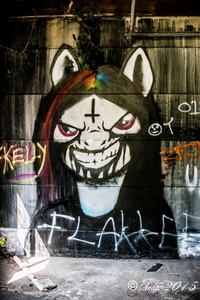 graffiti doel 2015-6225