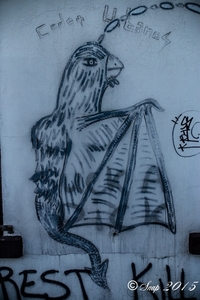 graffiti doel 2015-6324