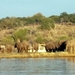 06 Namibië-Botswana (49)