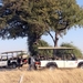 07 Chobe national park (25)