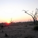 07 Chobe national park (108)