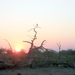 07 Chobe national park (109)