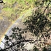 10 Victoria falls Zimbabwe (25)