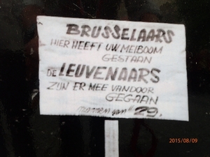 Meyboom Leuven 2015 094