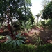 2b Funchal, botanische tuin _DSC00154