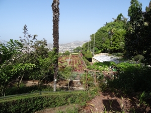2b Funchal, botanische tuin _DSC00161