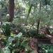 2b Funchal, botanische tuin _DSC00164