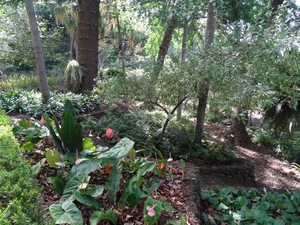 2b Funchal, botanische tuin _DSC00164