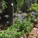 2b Funchal, botanische tuin _DSC00177