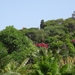 2b Funchal, botanische tuin _DSC00192