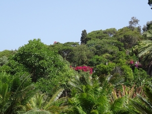 2b Funchal, botanische tuin _DSC00192