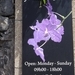2c Funchal, orchideeen tuin _DSC00195