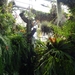 2c Funchal, orchideeen tuin _DSC00209