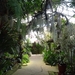 2c Funchal, orchideeen tuin _DSC00212