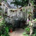 2c Funchal, orchideeen tuin _DSC00217