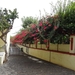 4g Funchal, Santa Clara klooster _DSC00368