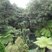 6c Monte palace tropical garden _DSC00560