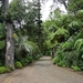 6c Monte palace tropical garden _DSC00568