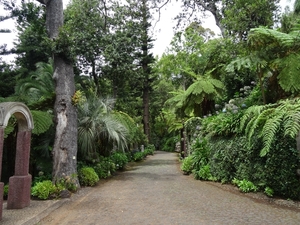 6c Monte palace tropical garden _DSC00568