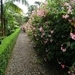6c Monte palace tropical garden _DSC00570
