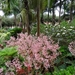 6c Monte palace tropical garden _DSC00575