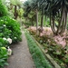 6c Monte palace tropical garden _DSC00578