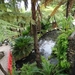 6c Monte palace tropical garden _DSC00581