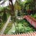 6c Monte palace tropical garden _DSC00583