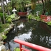 6c Monte palace tropical garden _DSC00587
