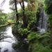 6c Monte palace tropical garden _DSC00588