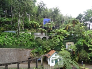6c Monte palace tropical garden _DSC00612