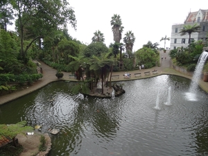 6c Monte palace tropical garden _DSC00614
