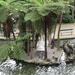 6c Monte palace tropical garden _DSC00615