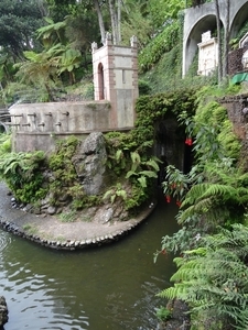 6c Monte palace tropical garden _DSC00619