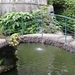 6c Monte palace tropical garden _DSC00624