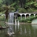 6c Monte palace tropical garden _DSC00625