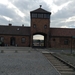 Birkenau 018